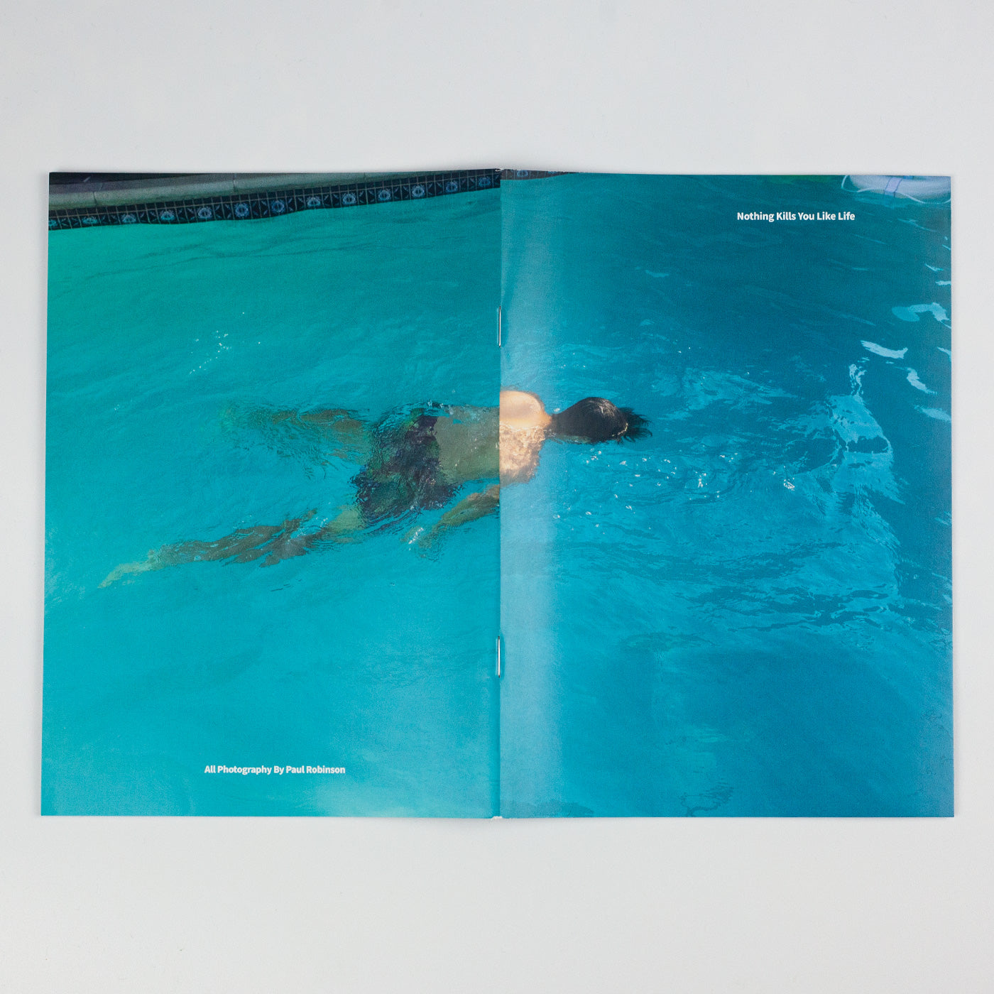 Nothing Kills You Like Life - Zine
