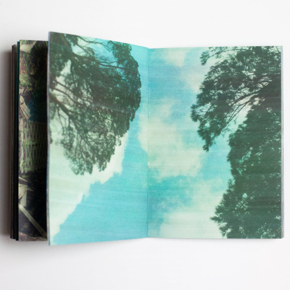 A Persistence Of Vision - Murray Loubser 001