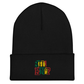 Silent DREW Cuffed Beanie