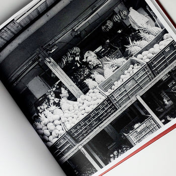 Nothing Kills You Like Life (3) By Paul Robinson