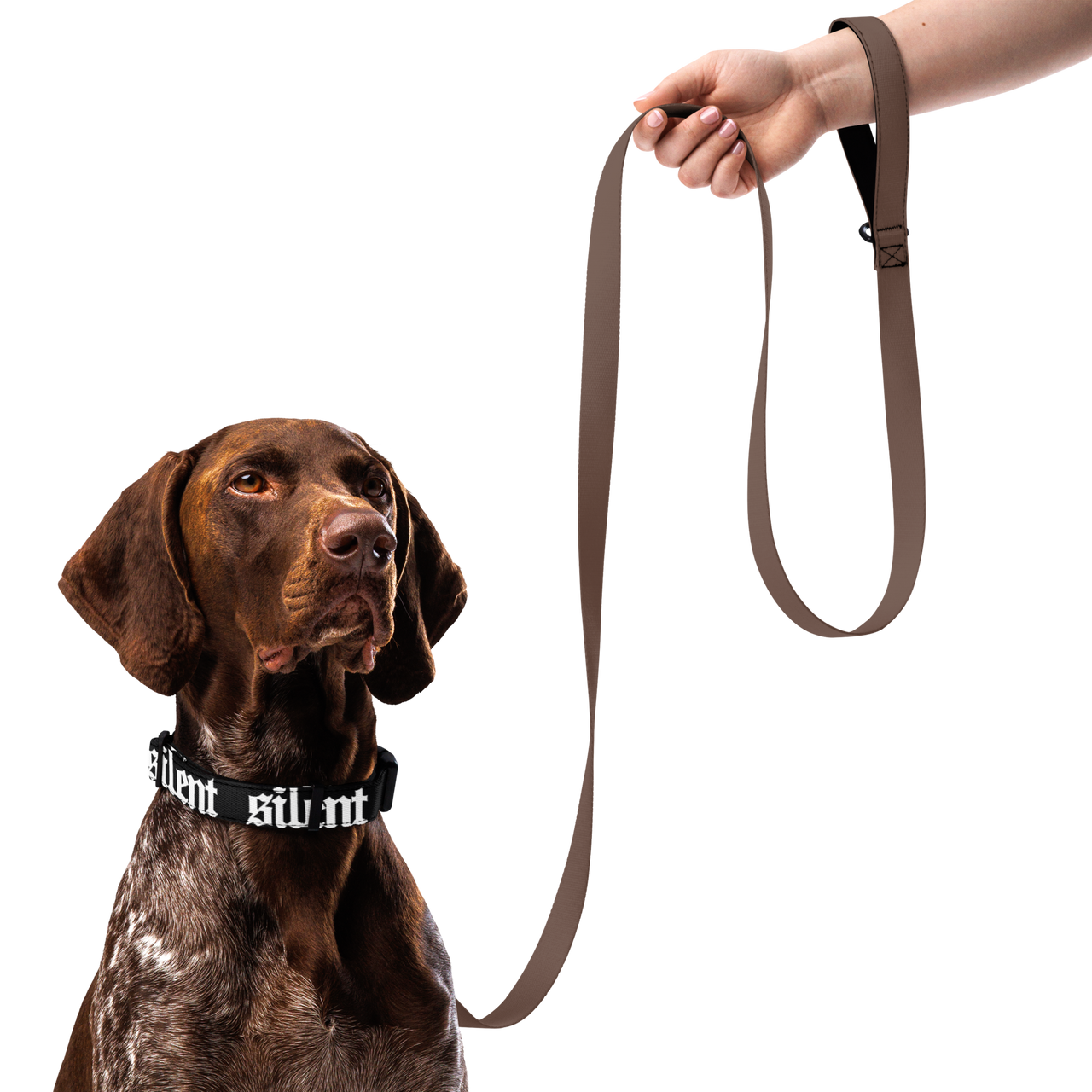 Silent DAWG Collar